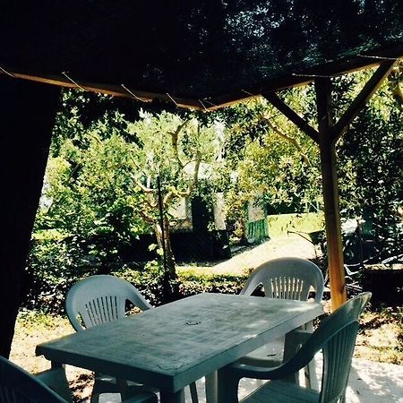 Agriturismo La Mora Assisi Exterior photo